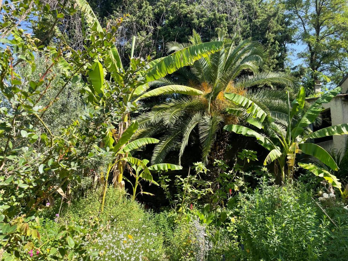 Villa Leona Clim Park Bollène Buitenkant foto