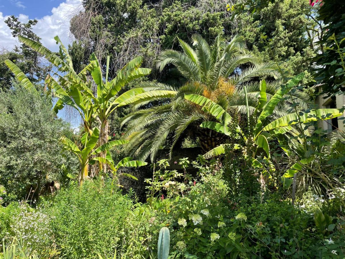 Villa Leona Clim Park Bollène Buitenkant foto